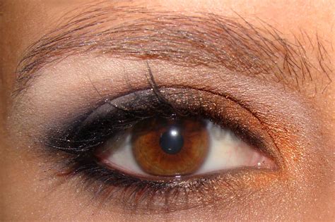 Pais Com Olhos Castanhos Podem Ter Filhos Com Olhos Verdes