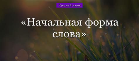 Начальная форма слова – как определить?