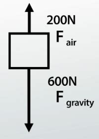 Net Force: Definition and Calculations - Lesson | Study.com