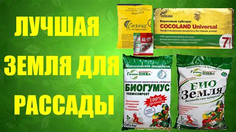 🌱 Почва. Как подготовить почву для рассады. #хорошаярассада - YouTube