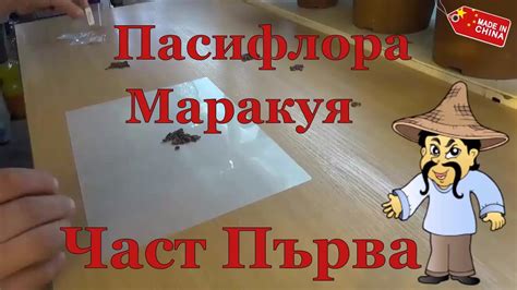 Пасифлора - Маракуя "Част Първа" - YouTube