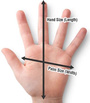 average hand size  men women  children