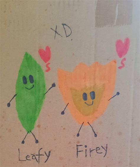 BFB/BFDI-Firey and Leafy Box Art by sejawx on DeviantArt