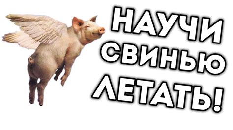 НАУЧИ СВИНЬЮ ЛЕТАТЬ! - YouTube