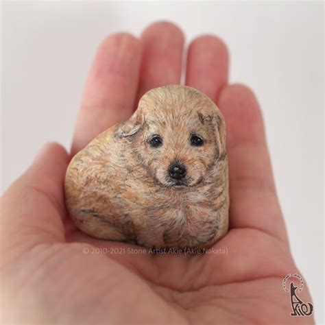 Incredible Rock Paintings Imagine Furry Creatures as Palm-Sized Pets ...