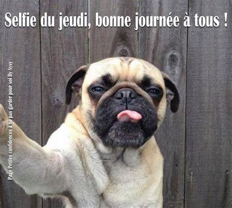 Images et photos avec tag Bon Jeudi Humour - BonnesImages