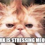 Stressed Cat Meme Generator - Imgflip