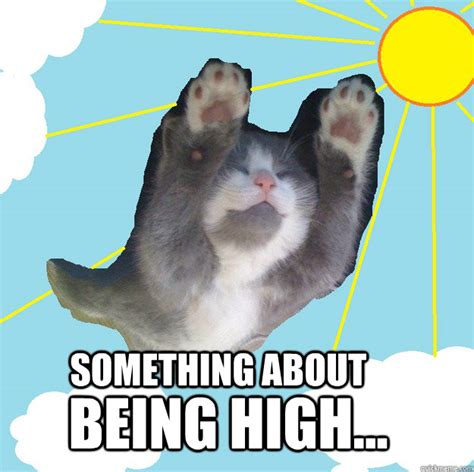 Whoosh cat memes | quickmeme