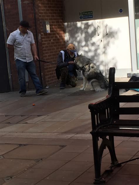 1777 best Homeless Man images on Pholder | Pics, Human Porn and Humans
