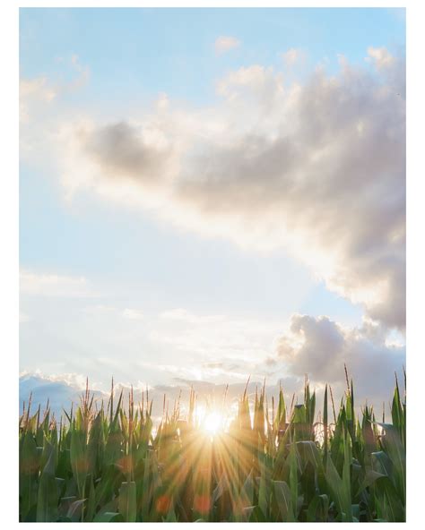 Mark Rockwell (@_mark_rockwell_) • Instagram photos and videos