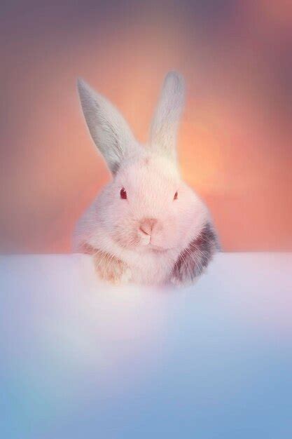 60+ Cute Instagram Template Pictures