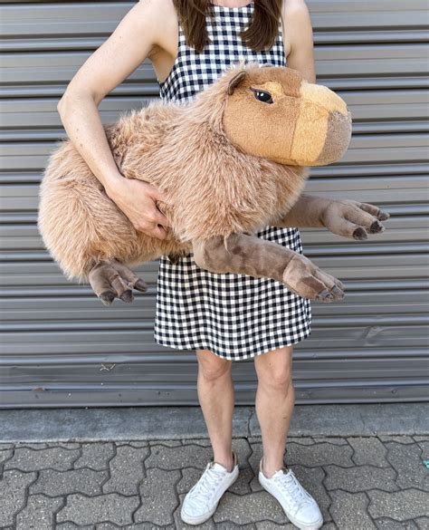 capybaras toys