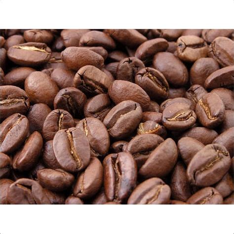 arabica coffee   price  maastricht limburg jzh bv