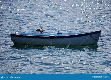 Cormorant on a Fishing Boat Stock Image - Image of boat, fish: 63882825