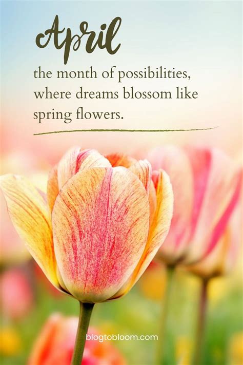 47 Quotes on April to Welcome Spring and Be Inspired