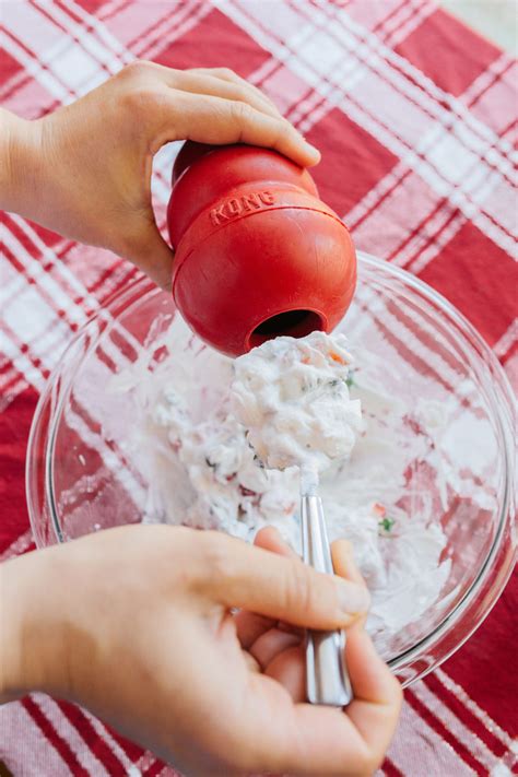 This video shows you the best ways to use a dog kong 21