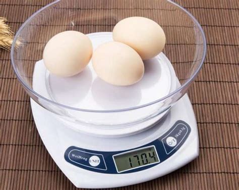 Net Weight And Gross Weight, A Simple But Useful Guide - Jikeship
