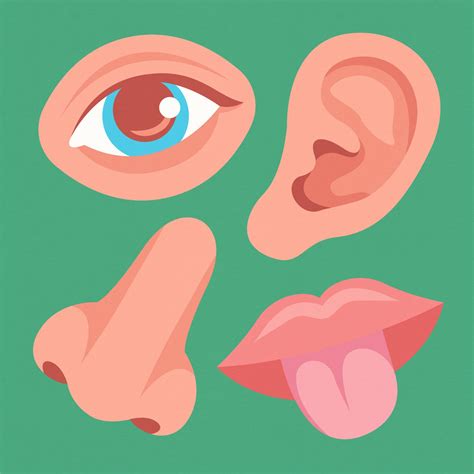 Food sensory analysis: where taste meets innovation – „Mamy zielone ...