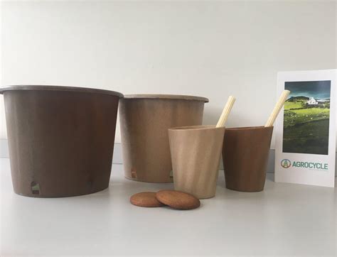 В Ирландии придумали съедобные стаканы и трубочки из картофеля - Recycle