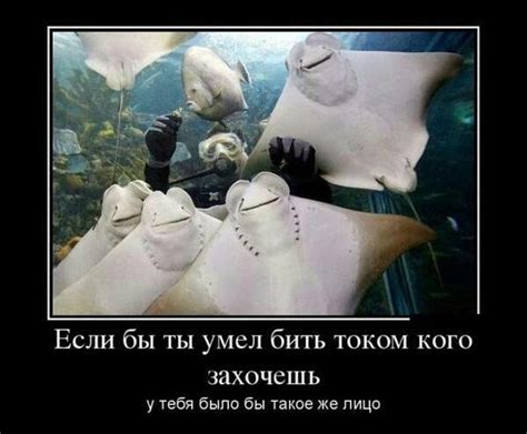 Демотиваторы в понедельник (21 шт)