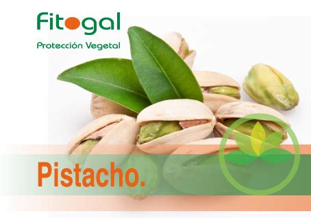 Frutales - Fitogal