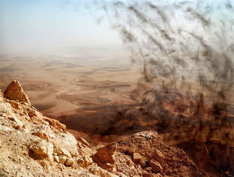 “Rosetta Stone” | Harper's Magazine