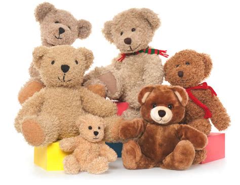 US woman sets world record for largest teddy bear collection - The Tribune
