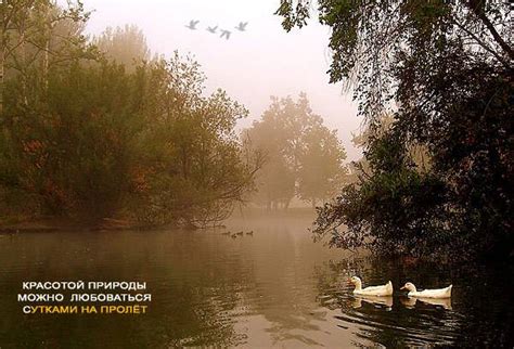 SETI.ee - Философия в картинках - Галерея - Новости
