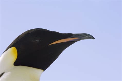 Why MDMA Sex Feels So Good