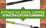 bypass  anvil lopper attractive cuts  confidence
