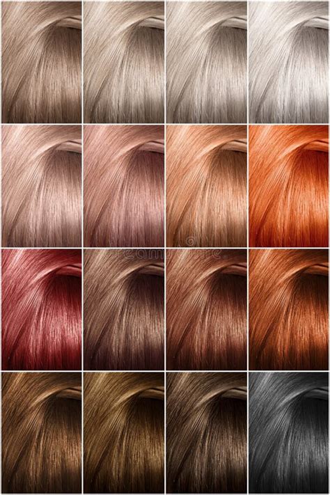 Todas As Cores De Cabelo - Paleta De Cores De Cabelo Com Uma Vasta Gama De Amostras. Amostras De ...