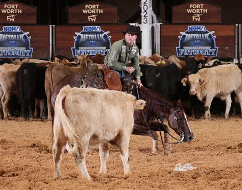 ACR Performance Horses and Boarding Facility - 2017 Open Horse of the