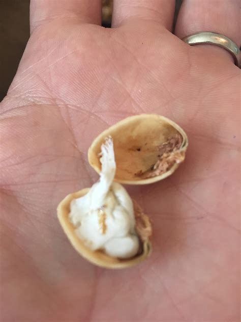 24 People Who Should Be Banned From Chewing Gum For The Rest Of Their ...