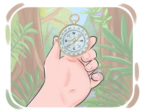 definition meaning  orient  english picture dictionary