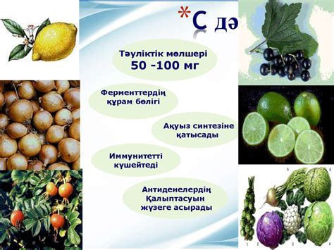 Дәрумендер - презентация онлайн