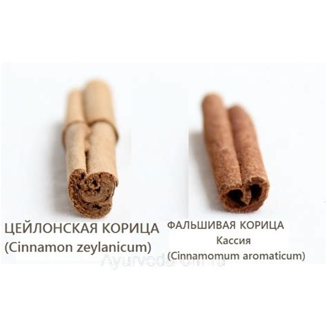 Цейлонская корица (cinnamon) купить в Москве цейлонскую корицу в палочках