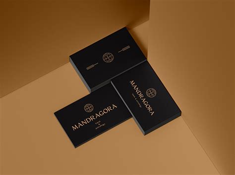 Фирменный стиль/логотип/визитка/сертификат/таро/астро on Behance