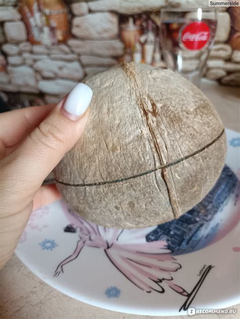 Кокосовые орехи/Coco nuts Кокос Питьевой с трубочкой Organic Genuine ...