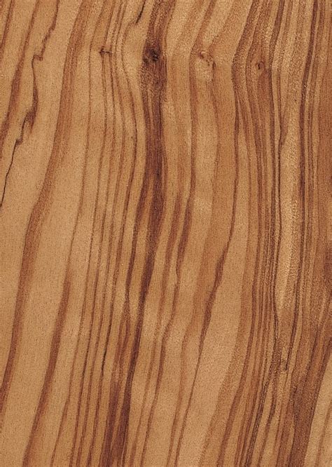 Оливкове дерево - Classic Veneer