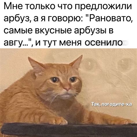 Смешные моменты