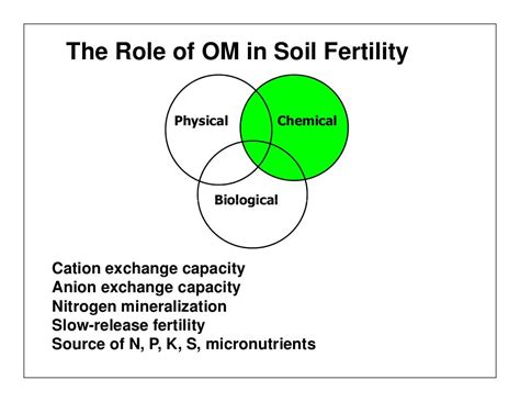 Managing Organic Matter for Soil Health and Fertility