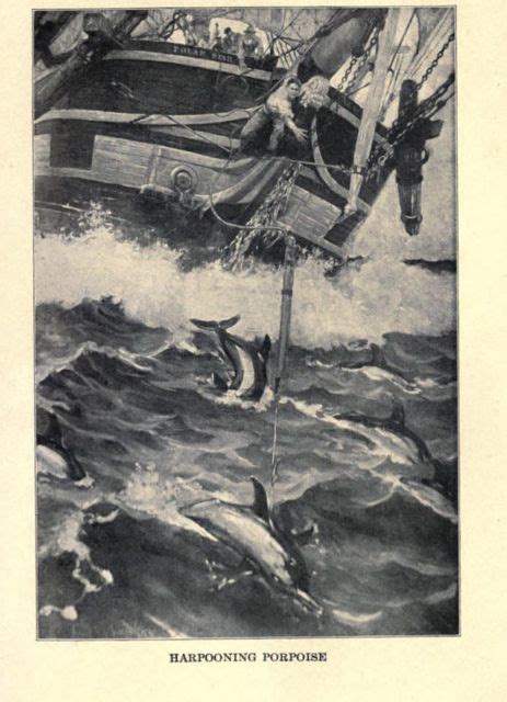 Moby-Dick Study Guide - American Literature