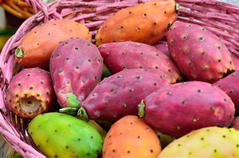 ¿Cómo se escoge la tuna? Lleva las mejores piezas del mercado con estos ...