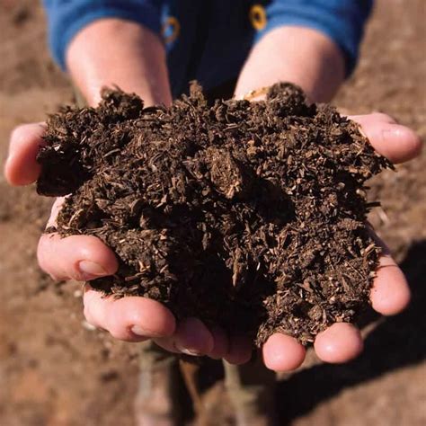 planning  exposure arch greenhouses