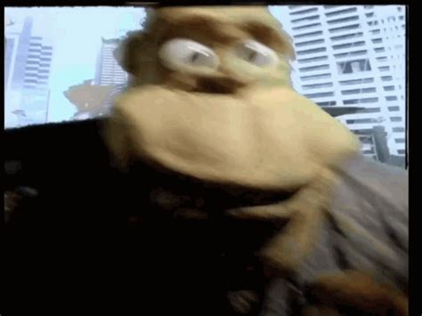 Gorilla Gif
