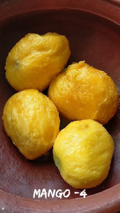 Mambazha pullisheri/ Ripe mango curry/ Kerala style/Kerala traditional ...