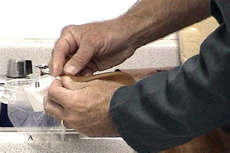 fixing  gel filter  place  scientific diagram