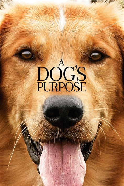 A Dog's Purpose subtitles English | opensubtitles.com