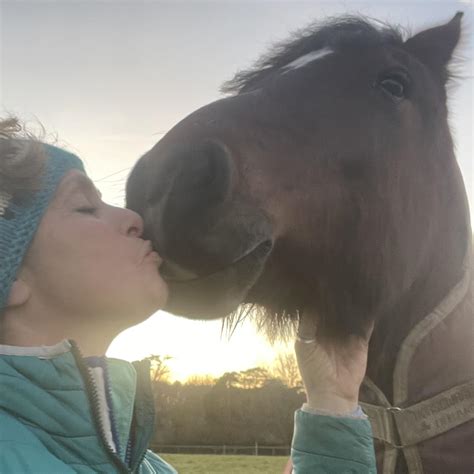 Empathetic Equestrian - Getting off your high horse!!! Here’s a