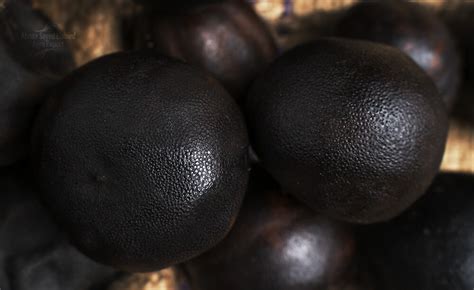 dried lime suppliers abnaa sayed elobied agro export